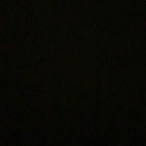 Meet your Posher, Shanee